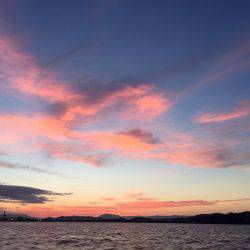 フィッシングボートACE（エース） 釣果