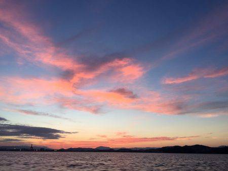 フィッシングボートACE（エース） 釣果