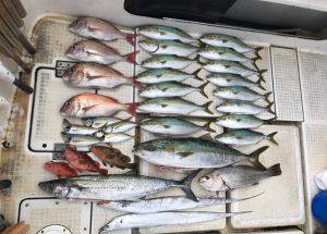 さぶろう丸 釣果