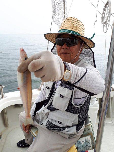 釣り船くわだ 釣果