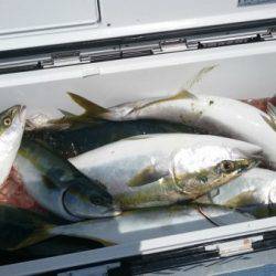 釣り船武蔵 釣果