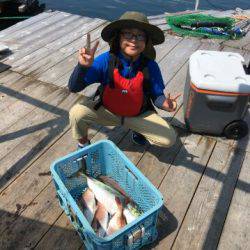 由良海上釣り堀 海人 釣果