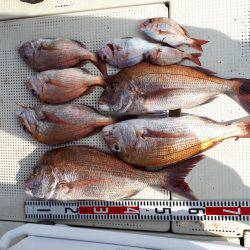 釣り船くわだ 釣果