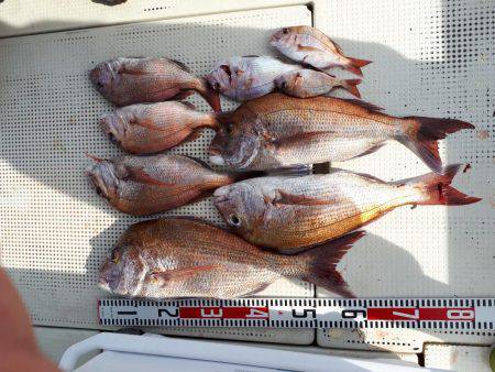 釣り船くわだ 釣果
