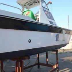 フィッシングボート空風(そらかぜ) 釣果