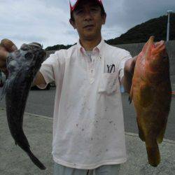 大進丸(新潟) 釣果