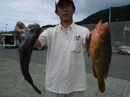 大進丸（新潟） 釣果