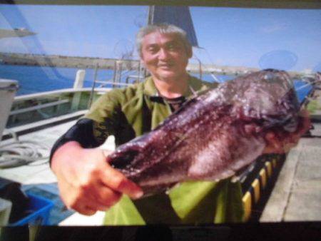 大進丸（新潟） 釣果