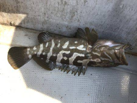 寿裕 （YOSHIHIRO） 釣果