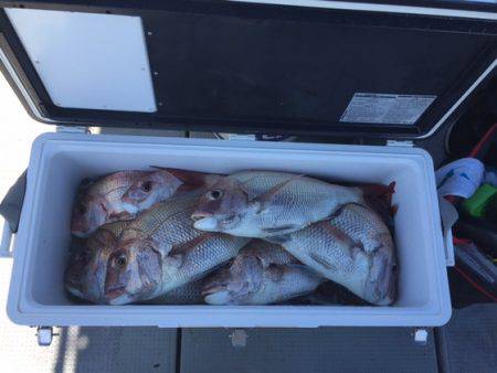 遊漁船高橋 釣果