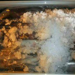 幸風（さちかぜ） 釣果