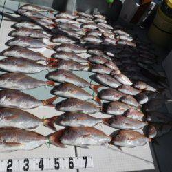 遊漁船 幸友丸 釣果