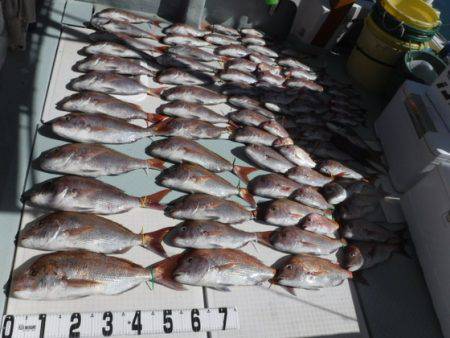 遊漁船 幸友丸 釣果