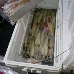 寿裕 （YOSHIHIRO） 釣果