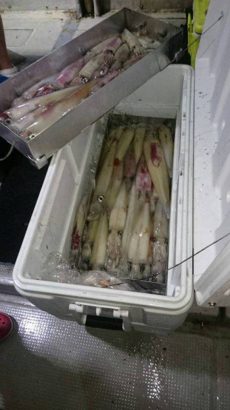 寿裕 （YOSHIHIRO） 釣果