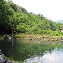 小菅トラウトガーデン 釣果