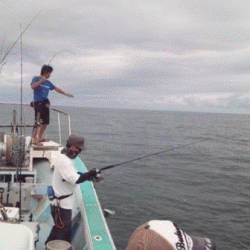 八海丸 釣果