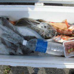 大進丸(新潟) 釣果