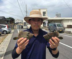 おざき丸 釣果