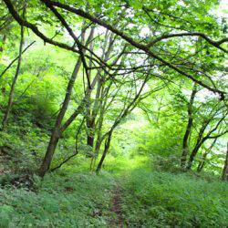 小菅トラウトガーデン 釣果