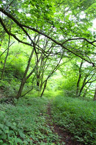 小菅トラウトガーデン 釣果