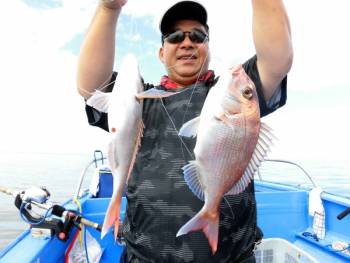 鯛紅丸 釣果
