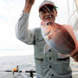 鯛紅丸 釣果