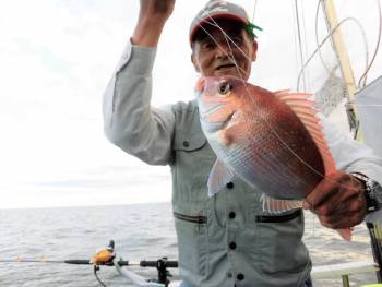 鯛紅丸 釣果