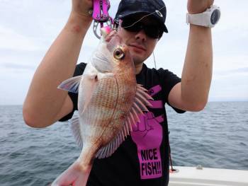 鯛紅丸 釣果