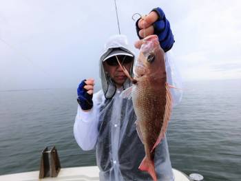 鯛紅丸 釣果