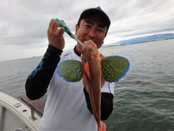 鯛紅丸 釣果