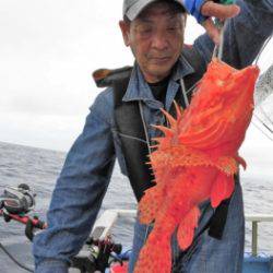 鯛紅丸 釣果