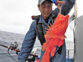 鯛紅丸 釣果