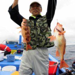 鯛紅丸 釣果