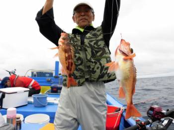 鯛紅丸 釣果