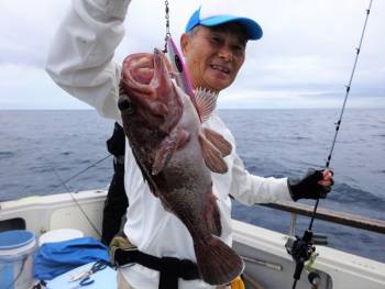 鯛紅丸 釣果