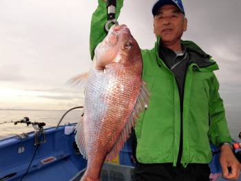 鯛紅丸 釣果