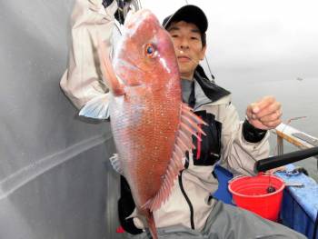鯛紅丸 釣果