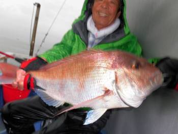 鯛紅丸 釣果