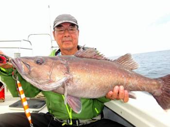 鯛紅丸 釣果