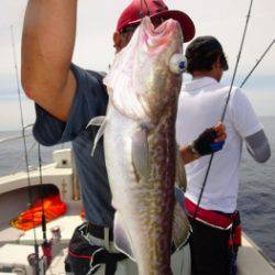 鯛紅丸 釣果