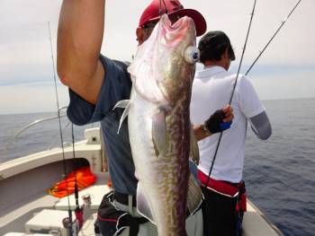鯛紅丸 釣果