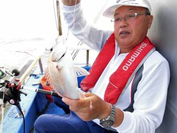 鯛紅丸 釣果