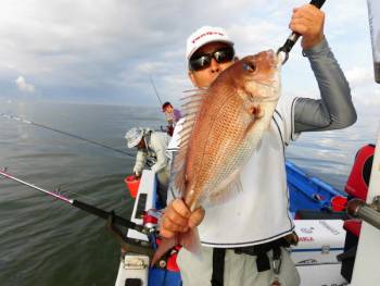 鯛紅丸 釣果