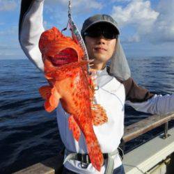 鯛紅丸 釣果