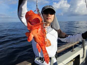 鯛紅丸 釣果