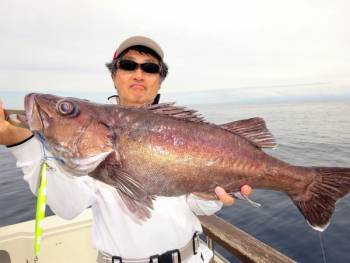 鯛紅丸 釣果