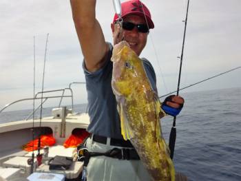 鯛紅丸 釣果