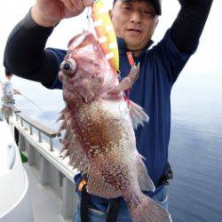 鯛紅丸 釣果