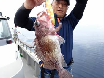 鯛紅丸 釣果